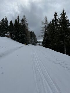 Foto de Schabsi a lo largo del recorrido