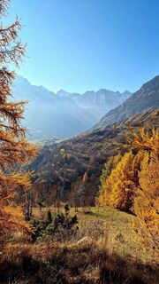Fotografija s spletne strani Fabrizi Mellano na poti