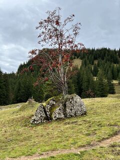 Foto von Manfred Schories entlang der Tour