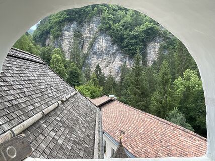 Foto fra lotharkoerner undervejs på turen