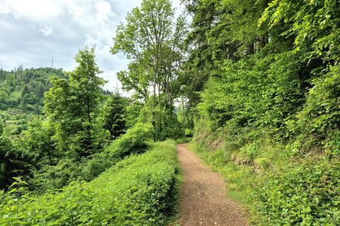Schöner Waldweg zwischen Schiltach und Schenkenzell