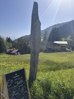 Fotografija s spletne strani Monika Diem na poti