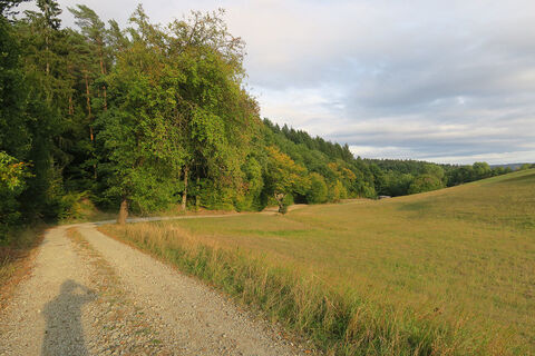 Haukuppenweg 03