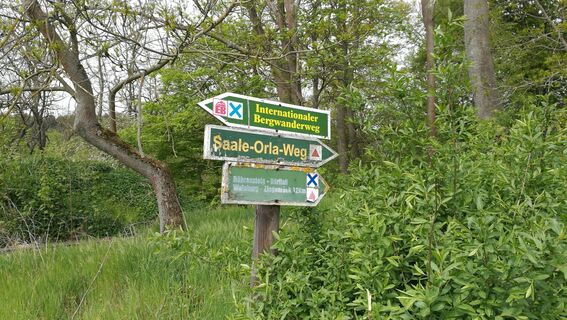 Entlang des Hinteren Röhrensteiges bei Burgk