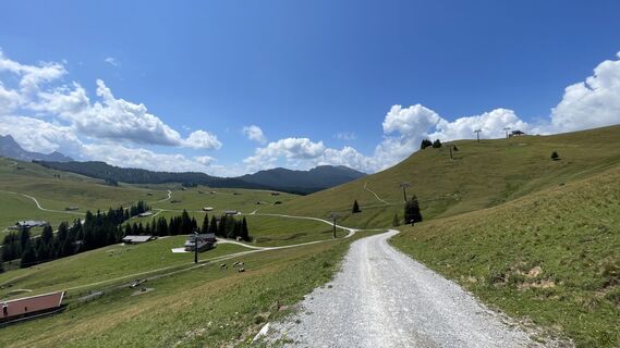 Fotografija s spletne strani Randolf na poti