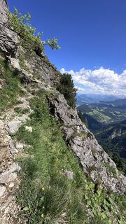 Foto von Mountain Cat ? ⛰️ entlang der Tour