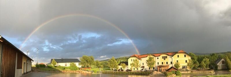 Ob bei Regen oder Sonnenschein - die Natur hält manch Überraschung bereit.
