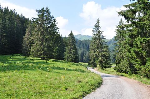 Der Weg ist das Ziel