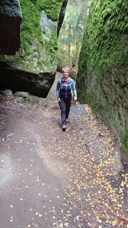 Foto från Georg Kreis under resans gång