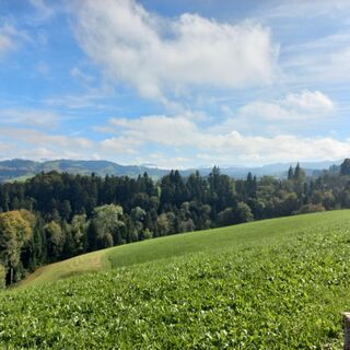 Fotografie z mosi mönä na trase