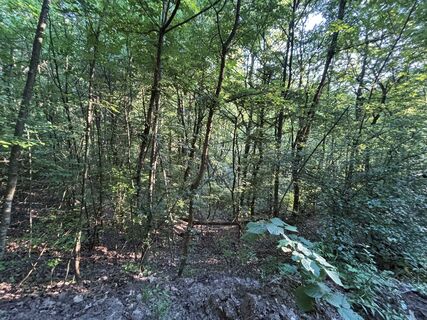 Photo de Reti Alicia le long du parcours