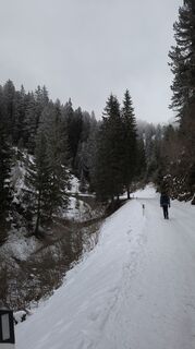 Photo de Patrizia Seppi le long du parcours