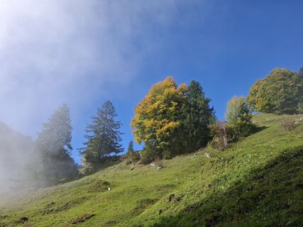 Foto de Maurer Silvia a lo largo del recorrido