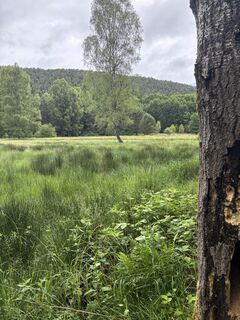 Fotografie z Christian Hennekeusee na trase