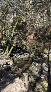 Fotografija s spletne strani Jürgen Kemmerer na poti