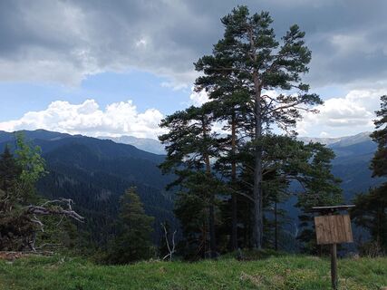 Foto von Christopher Diermaier entlang der Tour