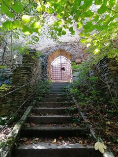 Foto von Wanderfux entlang der Tour