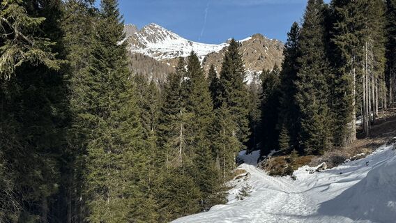 Photo de ROBERTO BONIOTTI le long du parcours