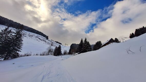 Fotografia z Regina Fleischmann na trase