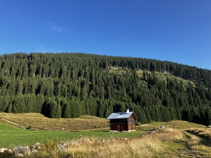 Fotografija s spletne strani Martin Würsch na poti