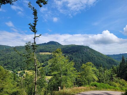 Zdjęcie z Liddeldi wzdłuż trasy