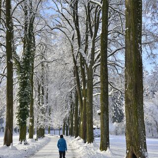 Winterwandern im Matzenpark Burgenwanderweg