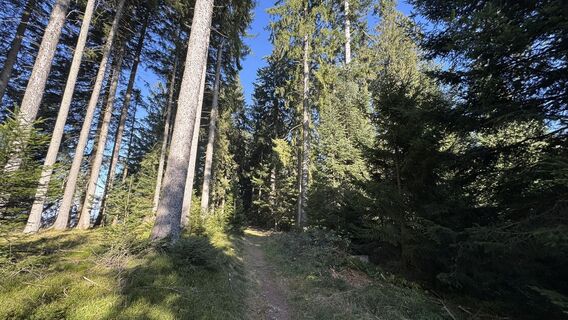 Fotografia z peter_oe na trase