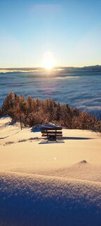 Fotografija s spletne strani veronika bozic na poti