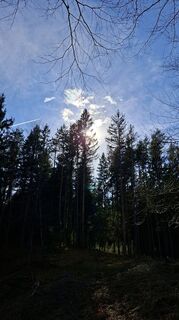 Foto von Mangolein entlang der Tour