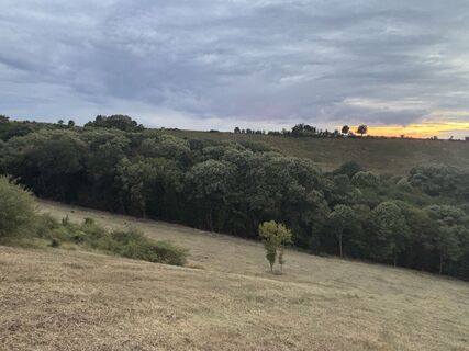 Photo de Reti Alicia le long du parcours
