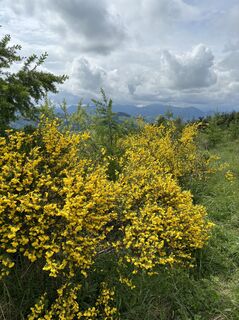 Fotó a Robert Kremlicka honlapról a túra során