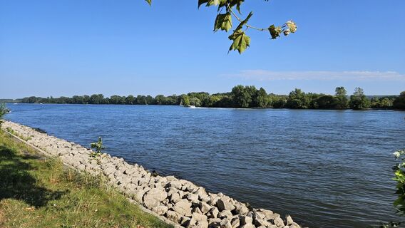 Fotografia z Eric Stoklassa na trase