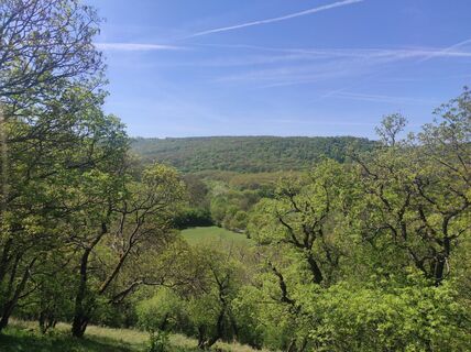 Foto de Làszló Visi a lo largo del recorrido