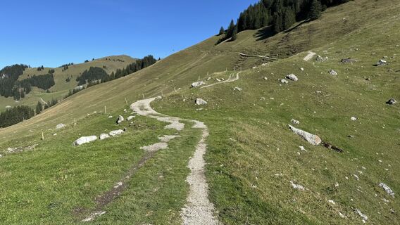 Foto von peter_oe entlang der Tour