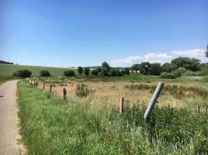 Rad- und Wanderweg rund um den Seeburger See