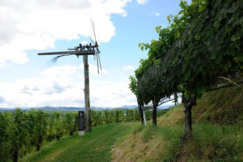 Weinlehrpfad Silberberg