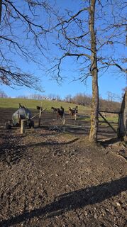 Foto de Gabriele Wagener a lo largo del recorrido