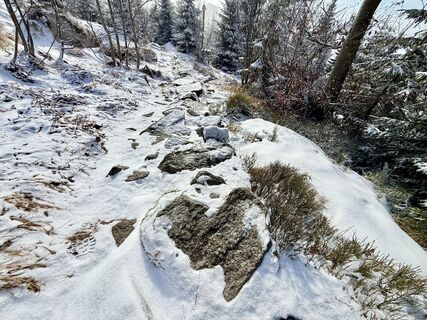 Fotografia z Natur_erleben_dg na trase