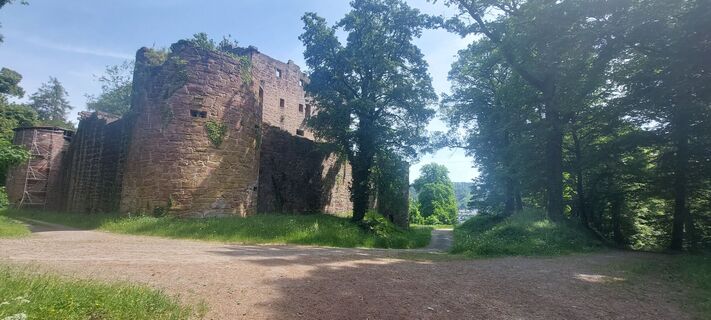 Blick auf die Minneburg
