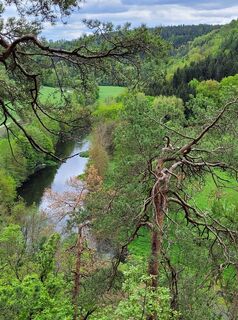Zdjęcie z Holger Turban wzdłuż trasy