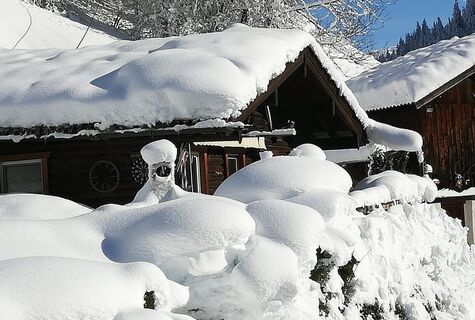 Chalet &amp; Apartment Berger