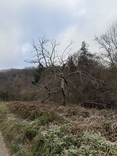 Zdjęcie z InesW wzdłuż trasy