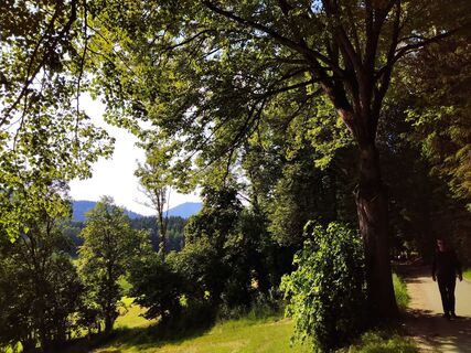 Foto von G.A. entlang der Tour