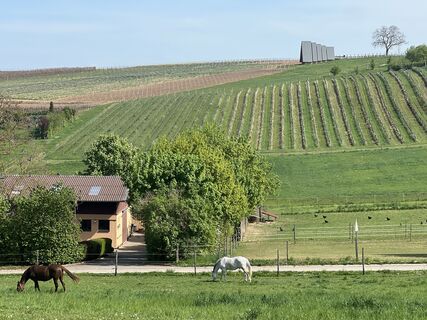 Foto von Wilfried Wagner entlang der Tour