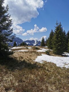 Fotografija s spletne strani Steinbock na poti