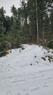 Fotografija s spletne strani Marlyse Leu na poti