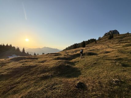 Foto von Natur_erleben_dg entlang der Tour