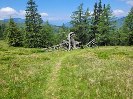 Foto von Dunja Huemer entlang der Tour
