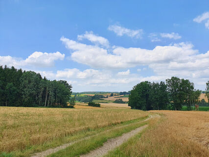 Ausblick ins Krückental