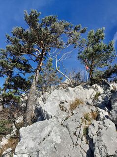 Foto de Andreas Stadel a lo largo del recorrido
